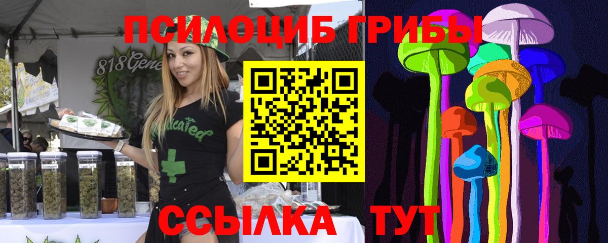 Галлюциногенные грибы Psilocybine cubensis  Вход с VPN  Первоуральск 